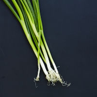 1 spring onion